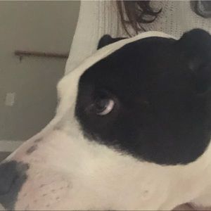 Meet your Posher, Christine